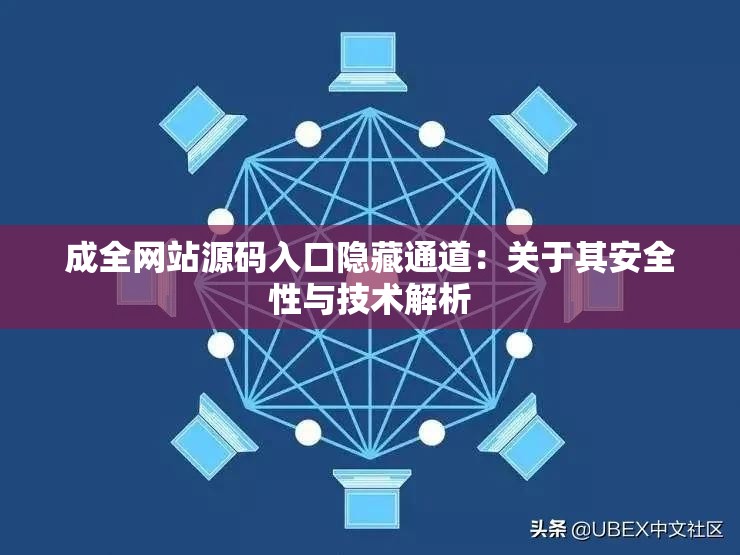 成全网站源码入口隐藏通道：关于其安全性与技术解析