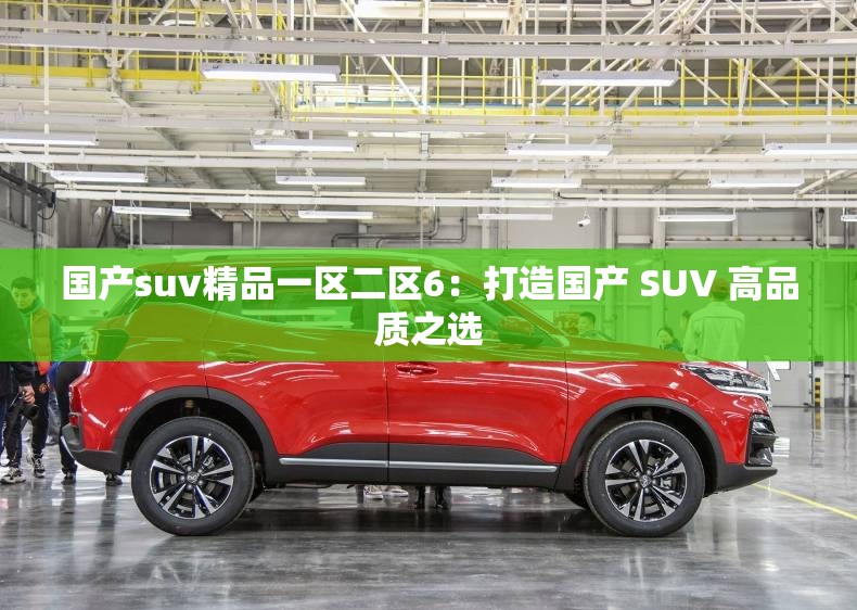 国产suv精品一区二区6：打造国产 SUV 高品质之选