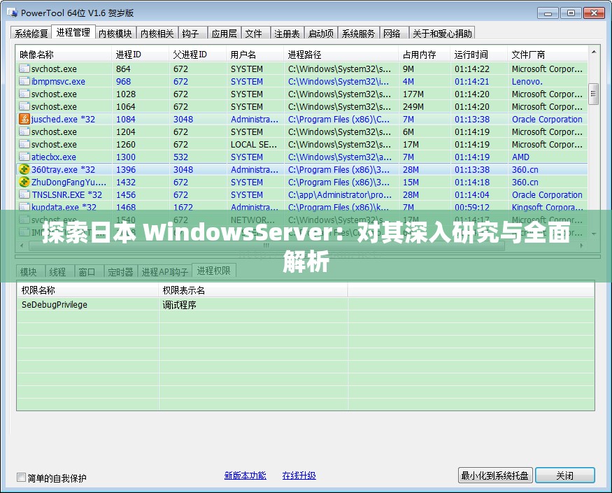 探索日本 WindowsServer：对其深入研究与全面解析