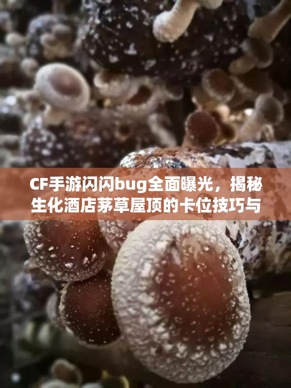 CF手游闪闪bug全面曝光，揭秘生化酒店茅草屋顶的卡位技巧与秘籍