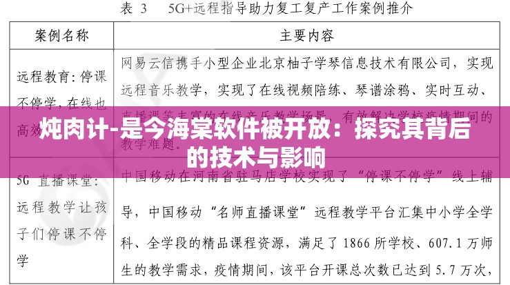 炖肉计-是今海棠软件被开放：探究其背后的技术与影响