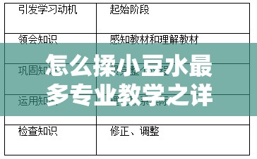 怎么揉小豆水最多专业教学之详细步骤与技巧解析