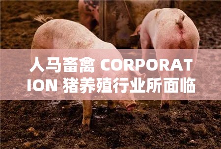 人马畜禽 CORPORATION 猪养殖行业所面临的课题：环保与成本控制的双重挑战