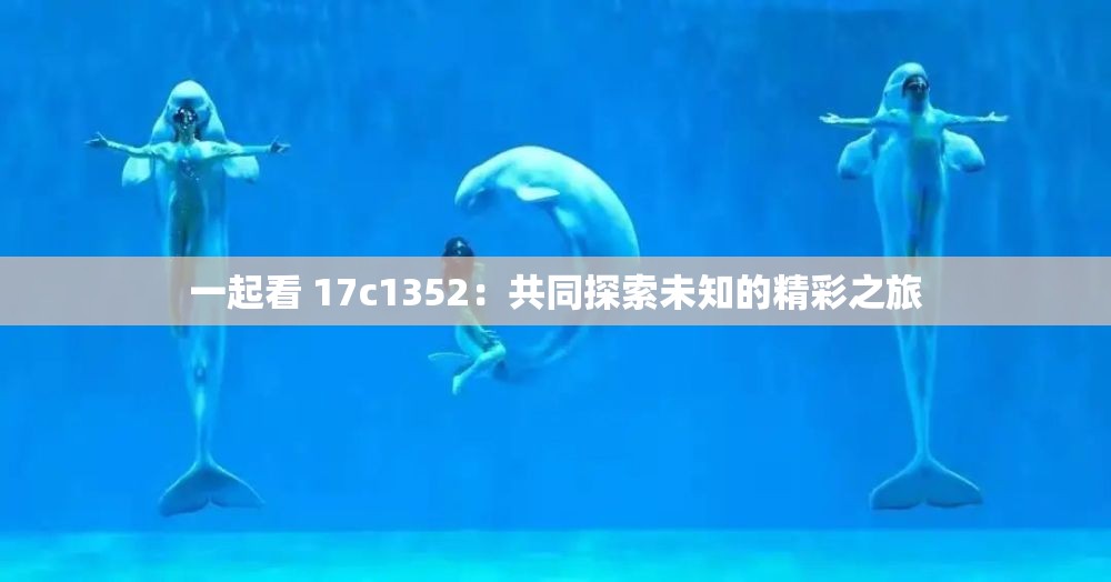 一起看 17c1352：共同探索未知的精彩之旅