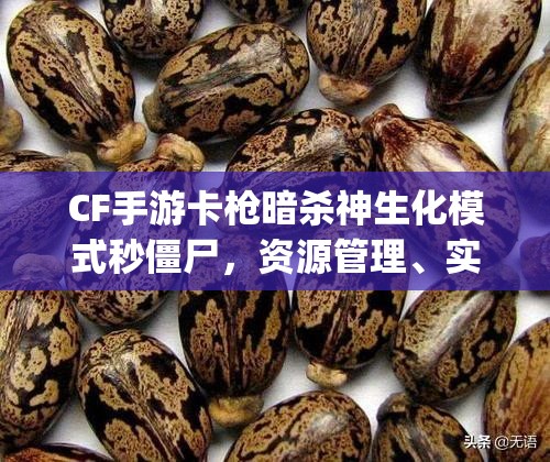 CF手游卡枪暗杀神生化模式秒僵尸，资源管理、实战技巧与bug利用详解