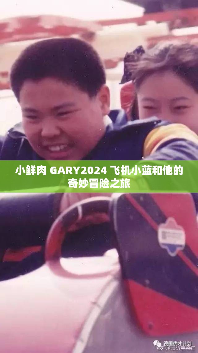 小鲜肉 GARY2024 飞机小蓝和他的奇妙冒险之旅