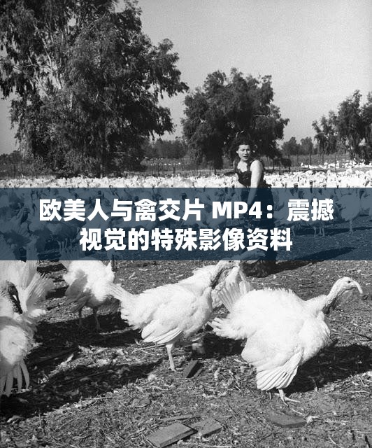 欧美人与禽交片 MP4：震撼视觉的特殊影像资料