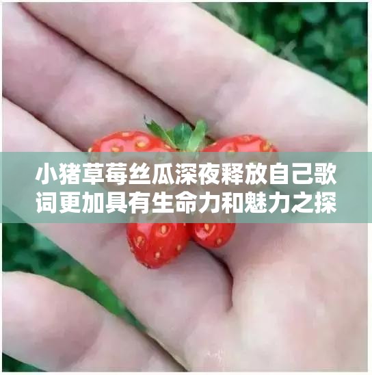 小猪草莓丝瓜深夜释放自己歌词更加具有生命力和魅力之探讨与分析