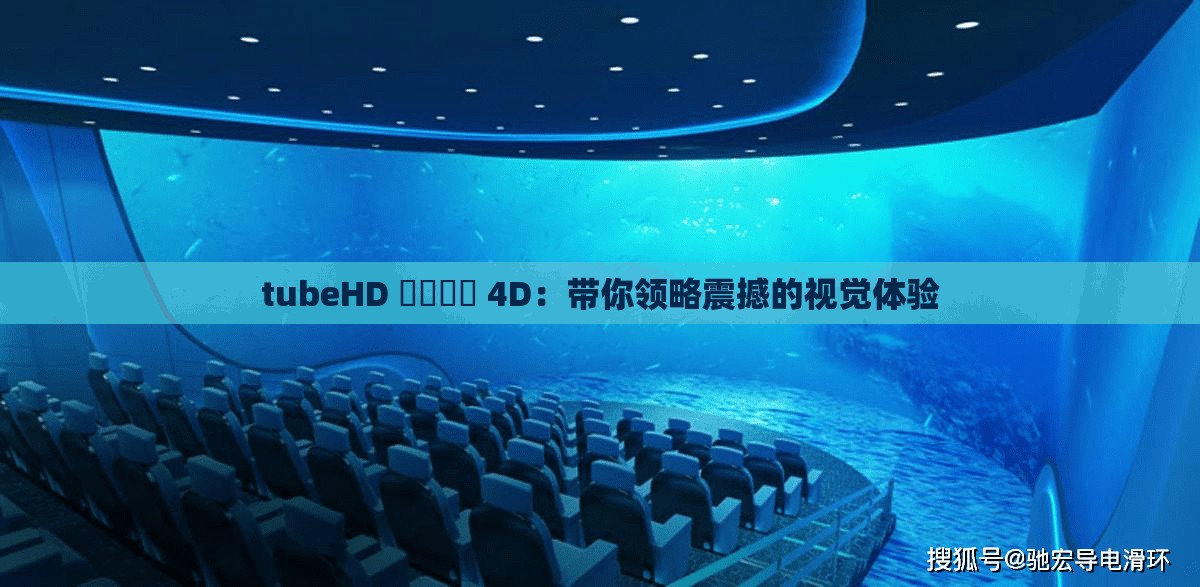 tubeHD 馃憴馃憴 4D：带你领略震撼的视觉体验