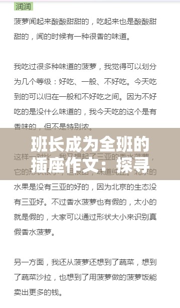 班长成为全班的插座作文：探寻背后的班级故事与成长