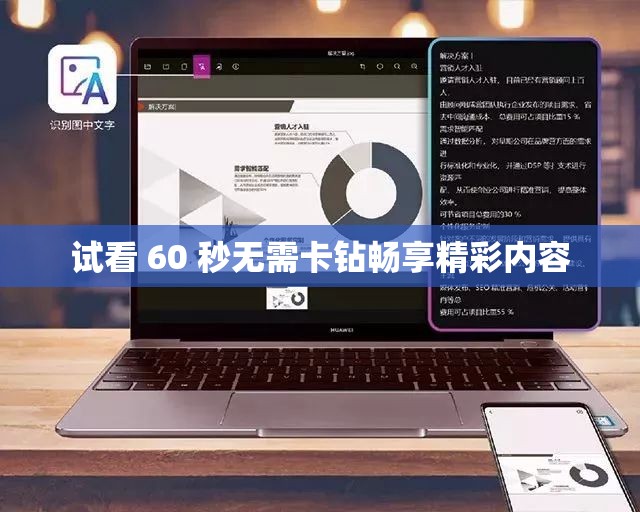 试看 60 秒无需卡钻畅享精彩内容