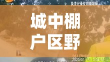 城中棚户区野鸡：亟待关注的社会问题