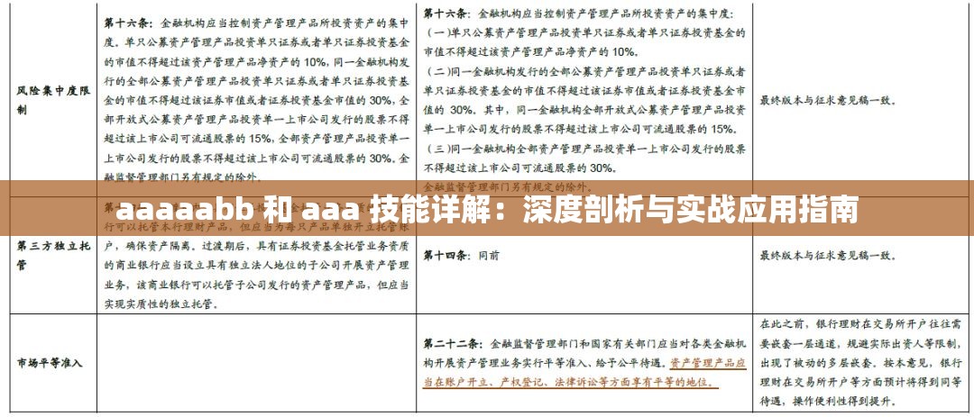 aaaaabb 和 aaa 技能详解：深度剖析与实战应用指南