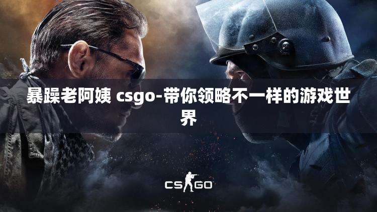 暴躁老阿姨 csgo-带你领略不一样的游戏世界