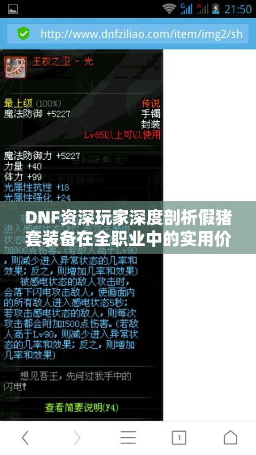 DNF资深玩家深度剖析假猪套装备在全职业中的实用价值分析