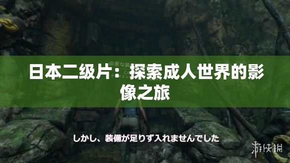 日本二级片：探索成人世界的影像之旅