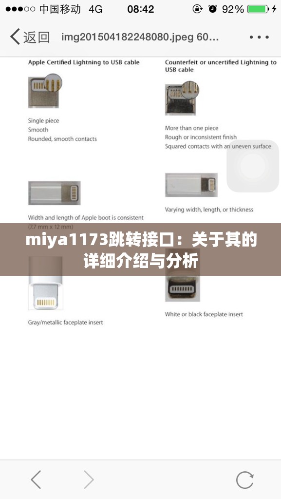 miya1173跳转接口：关于其的详细介绍与分析