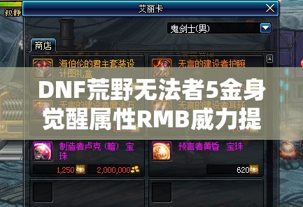 DNF荒野无法者5金身觉醒属性RMB威力提升策略与效果解析