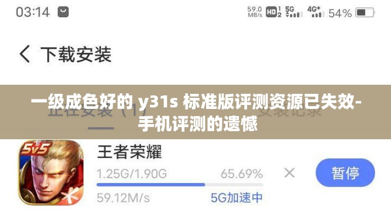 一级成色好的 y31s 标准版评测资源已失效- 手机评测的遗憾