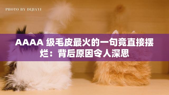 AAAA 级毛皮最火的一句竟直接摆烂：背后原因令人深思