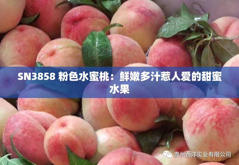 SN3858 粉色水蜜桃：鲜嫩多汁惹人爱的甜蜜水果