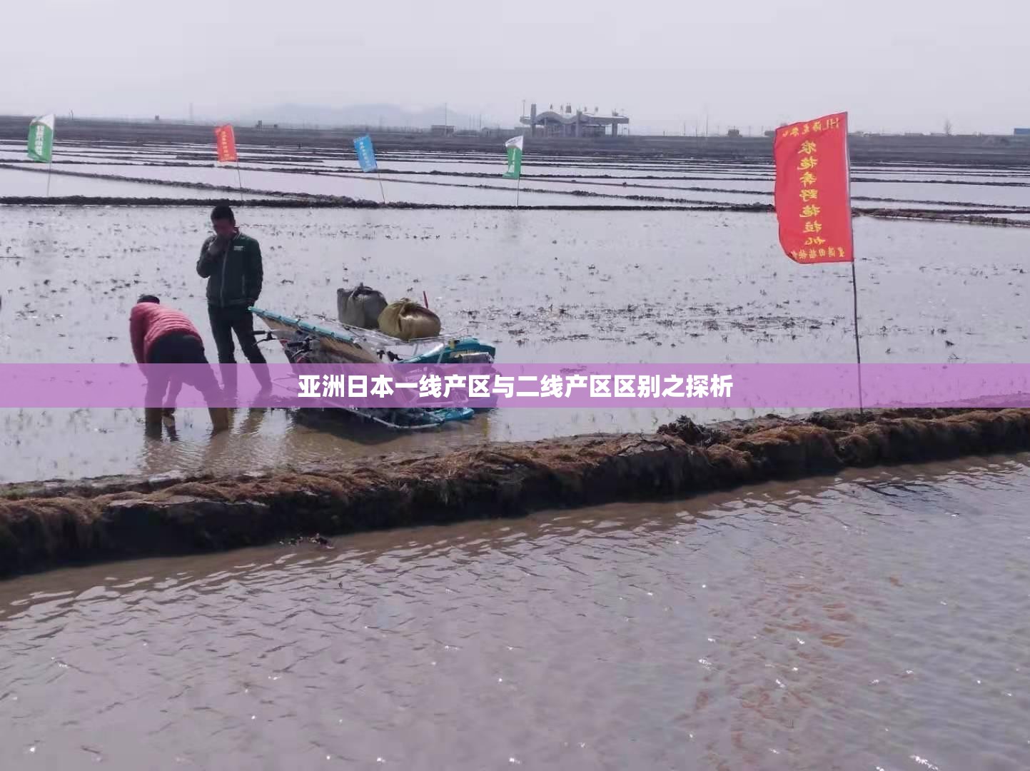 亚洲日本一线产区与二线产区区别之探析