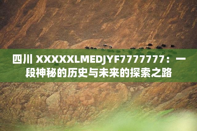 四川 XXXXXLMEDJYF7777777：一段神秘的历史与未来的探索之路