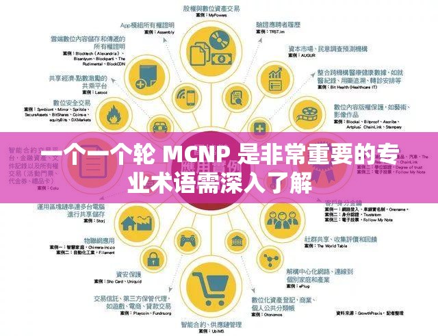 一个一个轮 MCNP 是非常重要的专业术语需深入了解