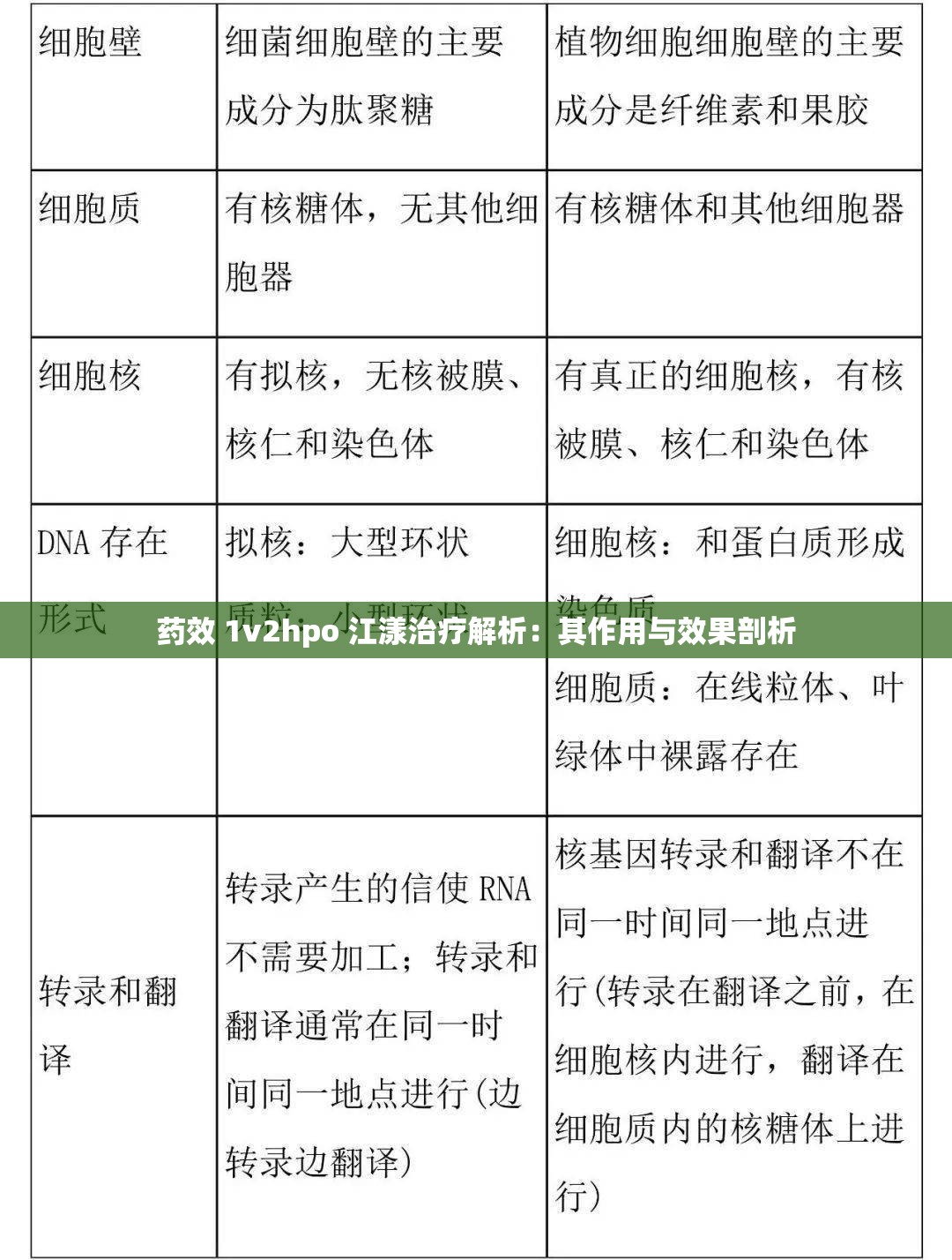 药效 1v2hpo 江漾治疗解析：其作用与效果剖析