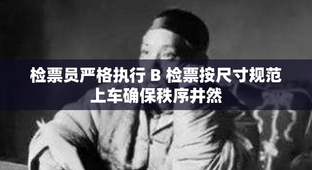 检票员严格执行 B 检票按尺寸规范上车确保秩序井然