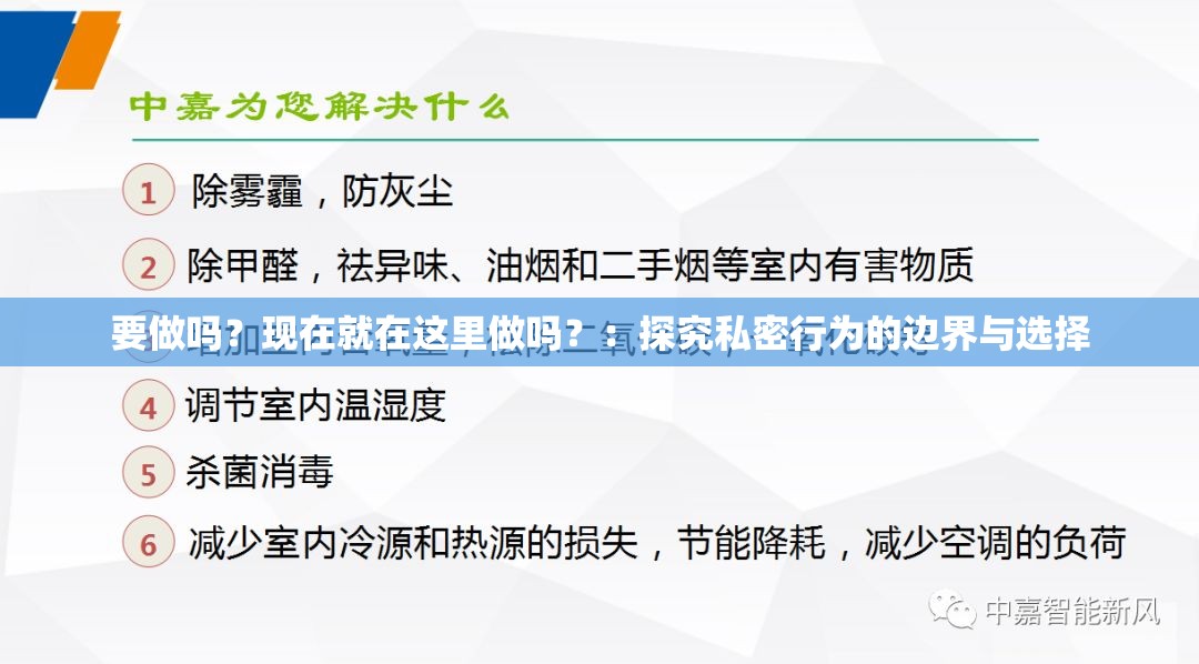 要做吗？现在就在这里做吗？：探究私密行为的边界与选择