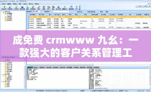 成免费 crmwww 九幺：一款强大的客户关系管理工具