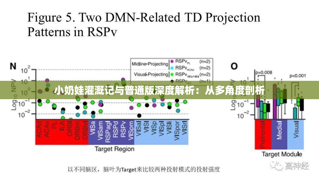 小奶娃灌溉记与普通版深度解析：从多角度剖析