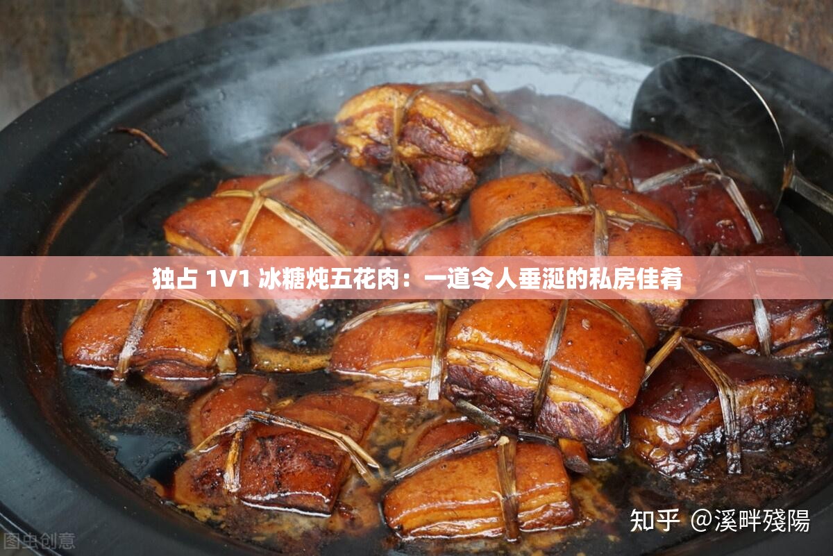 独占 1V1 冰糖炖五花肉：一道令人垂涎的私房佳肴