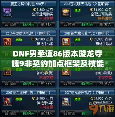 DNF男柔道86版本璇龙夺魄9非契约加点框架及技能深度解析攻略