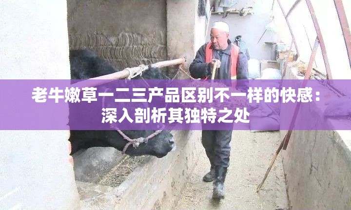 老牛嫩草一二三产品区别不一样的快感：深入剖析其独特之处