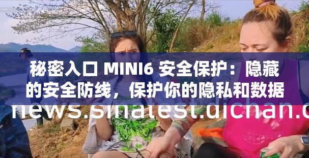 秘密入口 MINI6 安全保护：隐藏的安全防线，保护你的隐私和数据