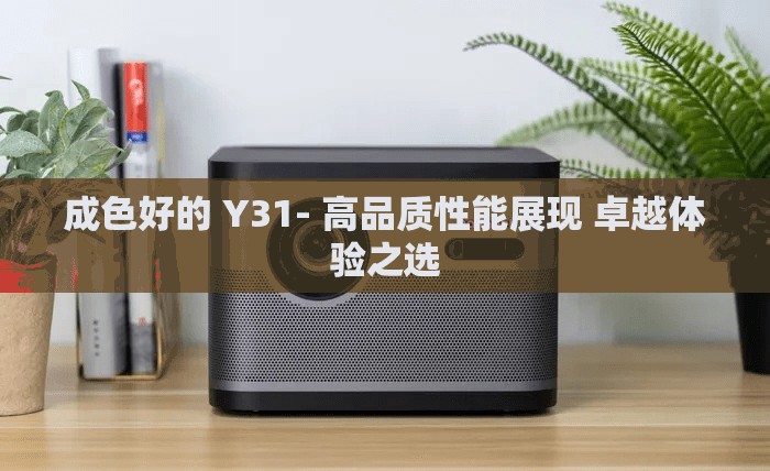 成色好的 Y31- 高品质性能展现 卓越体验之选