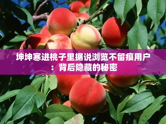 坤坤寒进桃子里据说浏览不留痕用户：背后隐藏的秘密