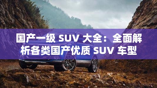 国产一级 SUV 大全：全面解析各类国产优质 SUV 车型