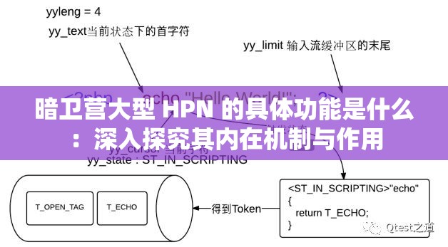 暗卫营大型 HPN 的具体功能是什么：深入探究其内在机制与作用