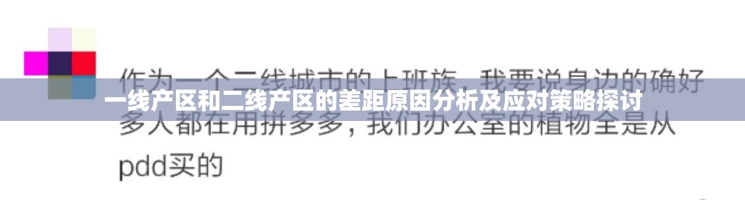 一线产区和二线产区的差距原因分析及应对策略探讨