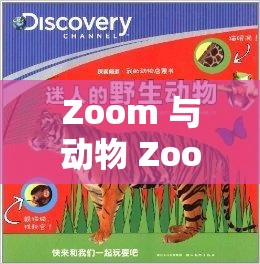 Zoom 与动物 Zoom：它们的奇妙世界与互动探索之旅