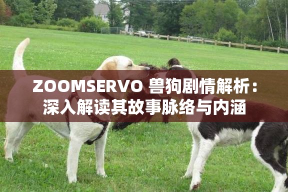 ZOOMSERVO 兽狗剧情解析：深入解读其故事脉络与内涵