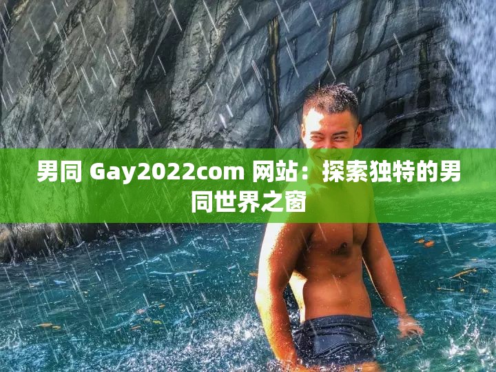 男同 Gay2022com 网站：探索独特的男同世界之窗