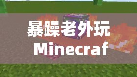 暴躁老外玩 Minecraft 中国：探索方块世界的疯狂冒险