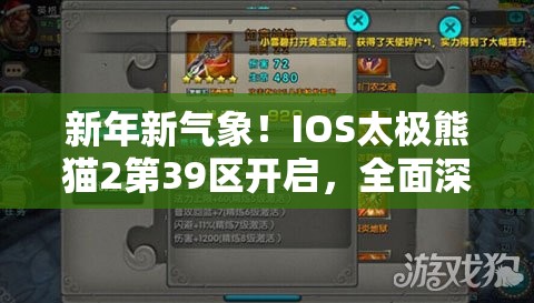 新年新气象！IOS太极熊猫2第39区开启，全面深度解析资源管理技巧