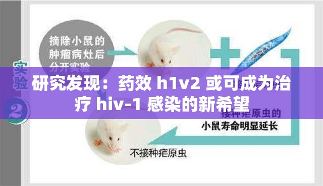 研究发现：药效 h1v2 或可成为治疗 hiv-1 感染的新希望