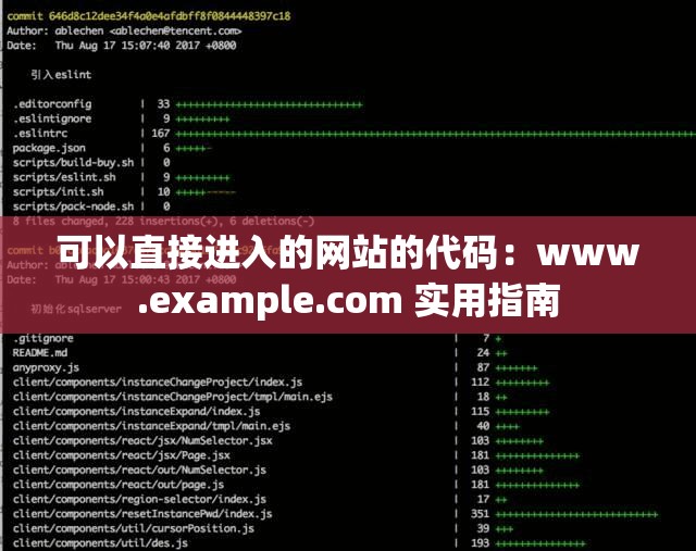 可以直接进入的网站的代码：www.example.com 实用指南