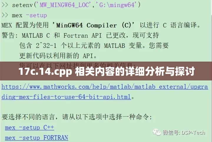 17c.14.cpp 相关内容的详细分析与探讨